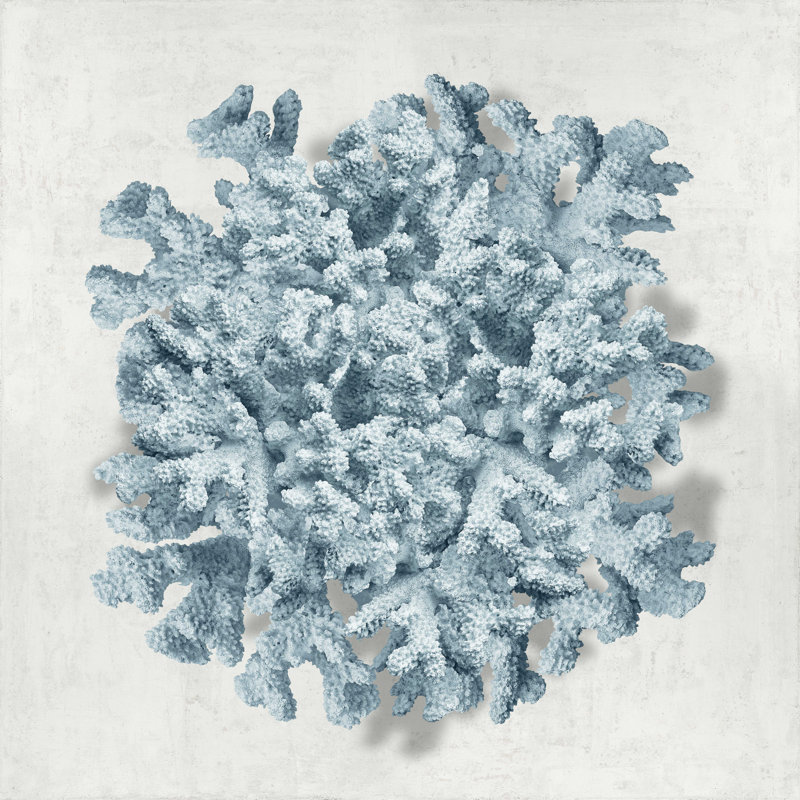 Bleu corail II, H 20 po x l 20 po
