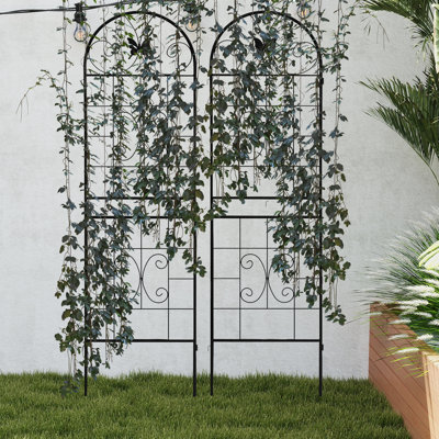 Ensemble de 2 treillis de jardin en métal pour plantes grimpantes Support pour plantes d'intérieur et d'extérieur pour vignes, fleurs, légumes et plantes en pot Décoration de pelouse, de jardin et de clôture
