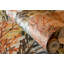 Tropical Collection Bora Bora Coral Inspired 27.8' L x 27.5" W Wallpaper Roll-73447862
