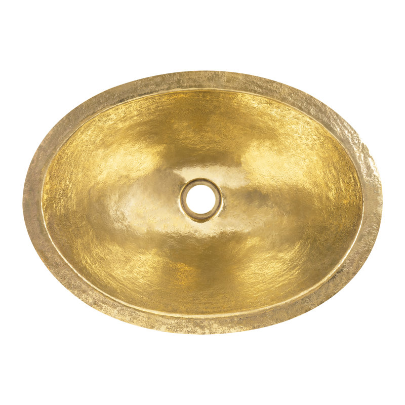 Terra Firma 19'' L Bathroom Sink