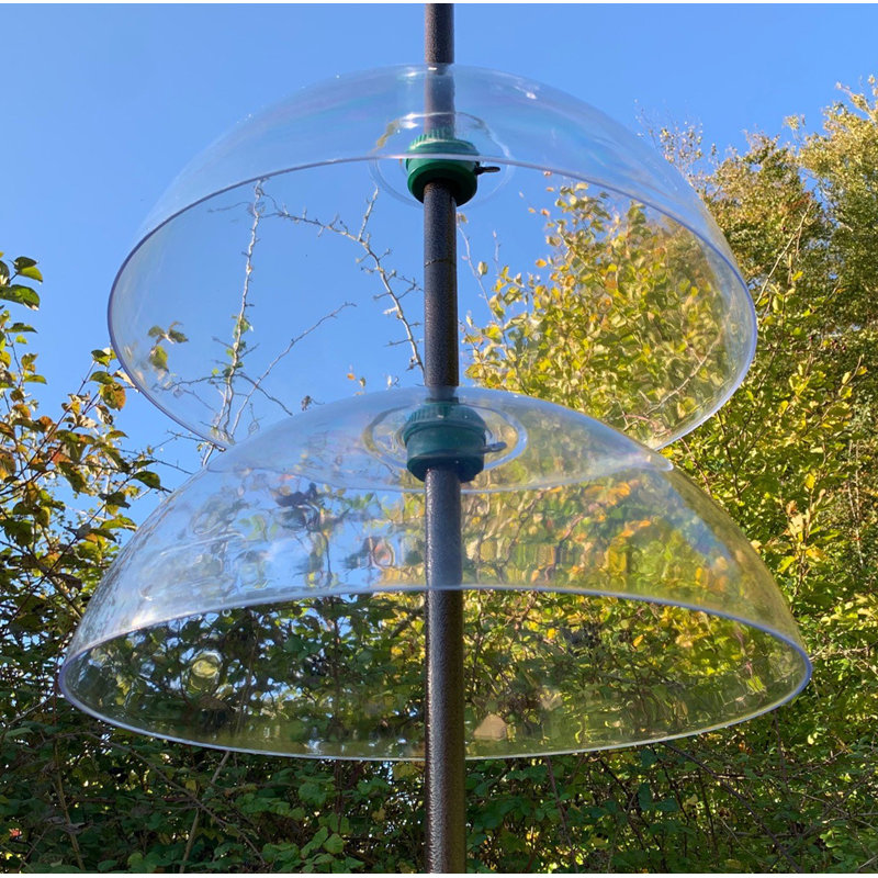 Kym Plastic Squirrel Guard