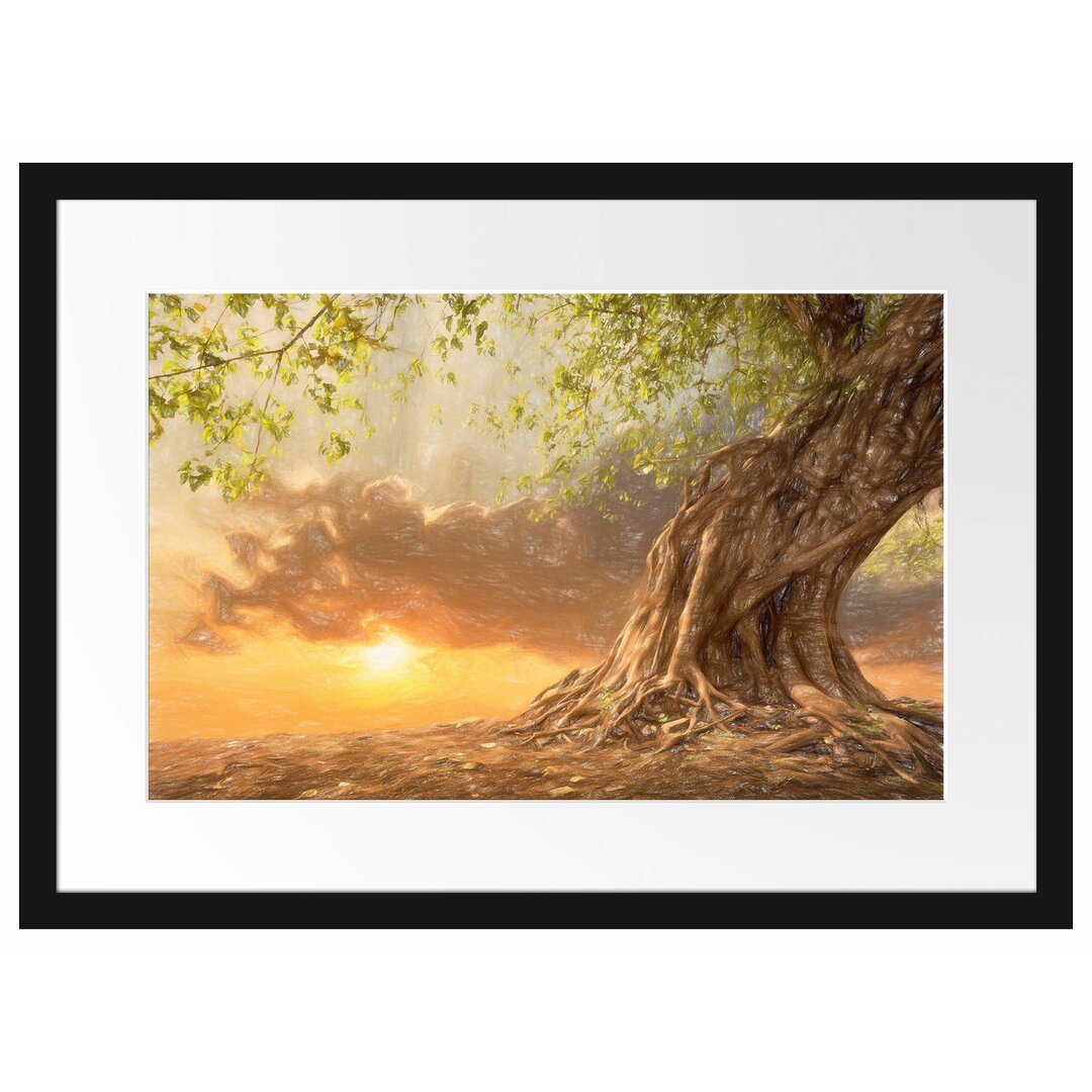 Uralter Baum Gerahmter Fotokunstdruck Poster