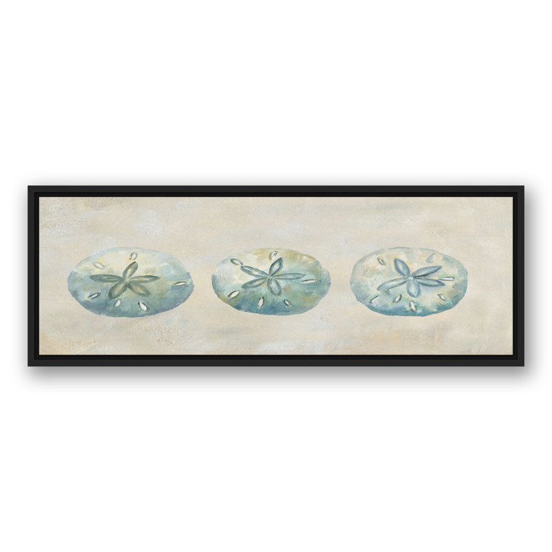 Sand Dollars, H 13,75 po x l 37,75 po