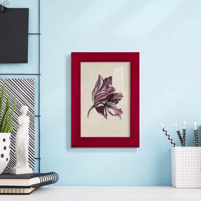 Antique Tulip Study III - Impression encadrée avec verre