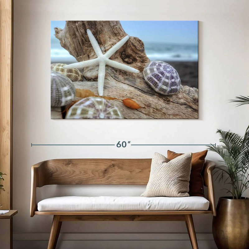 White crescent beach shells vii Aletra, H 32 po x l 48 po