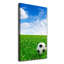 Football On The Meadow - Wrapped Canvas Print-1269110904