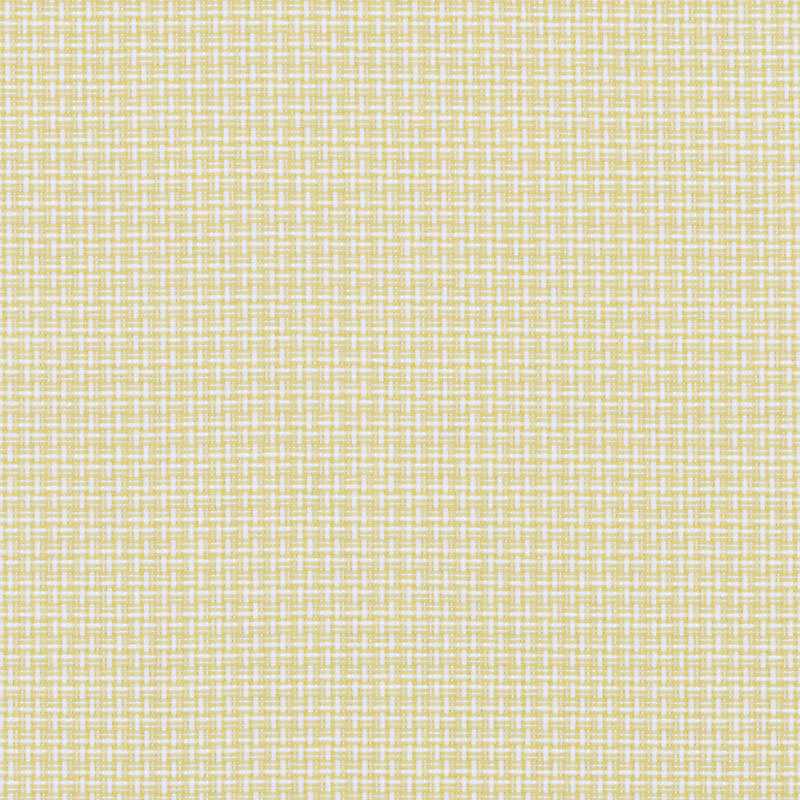 Paramount Fabric, Yellow