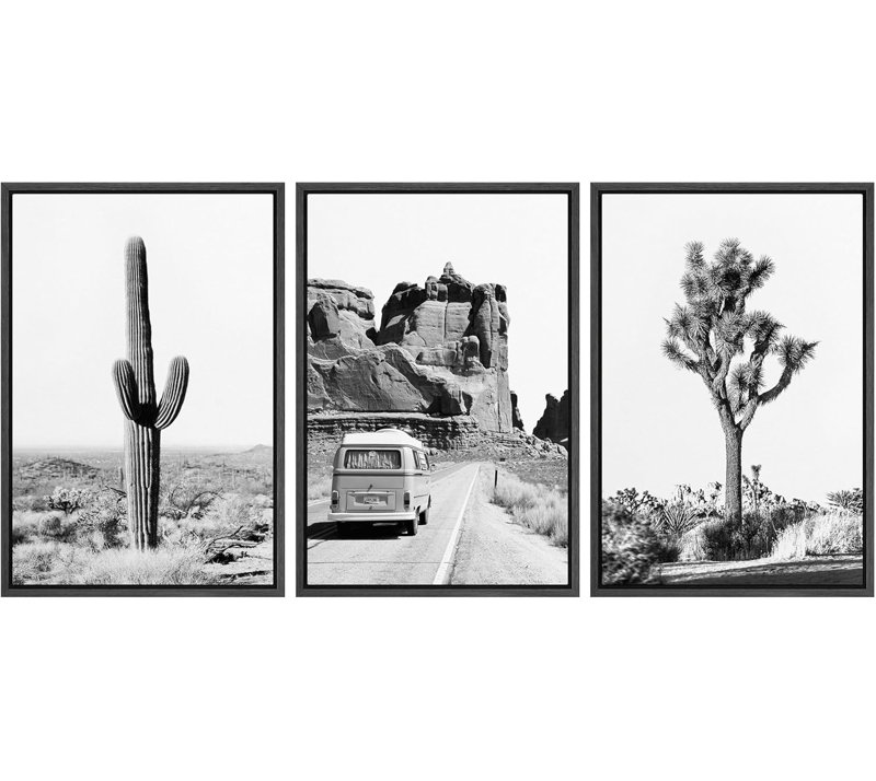 Cactus, paysage désertique, arbre de Joshua, photographie de paysage, paysage du sud-ouest, Noir, H 36 po x l 72 po