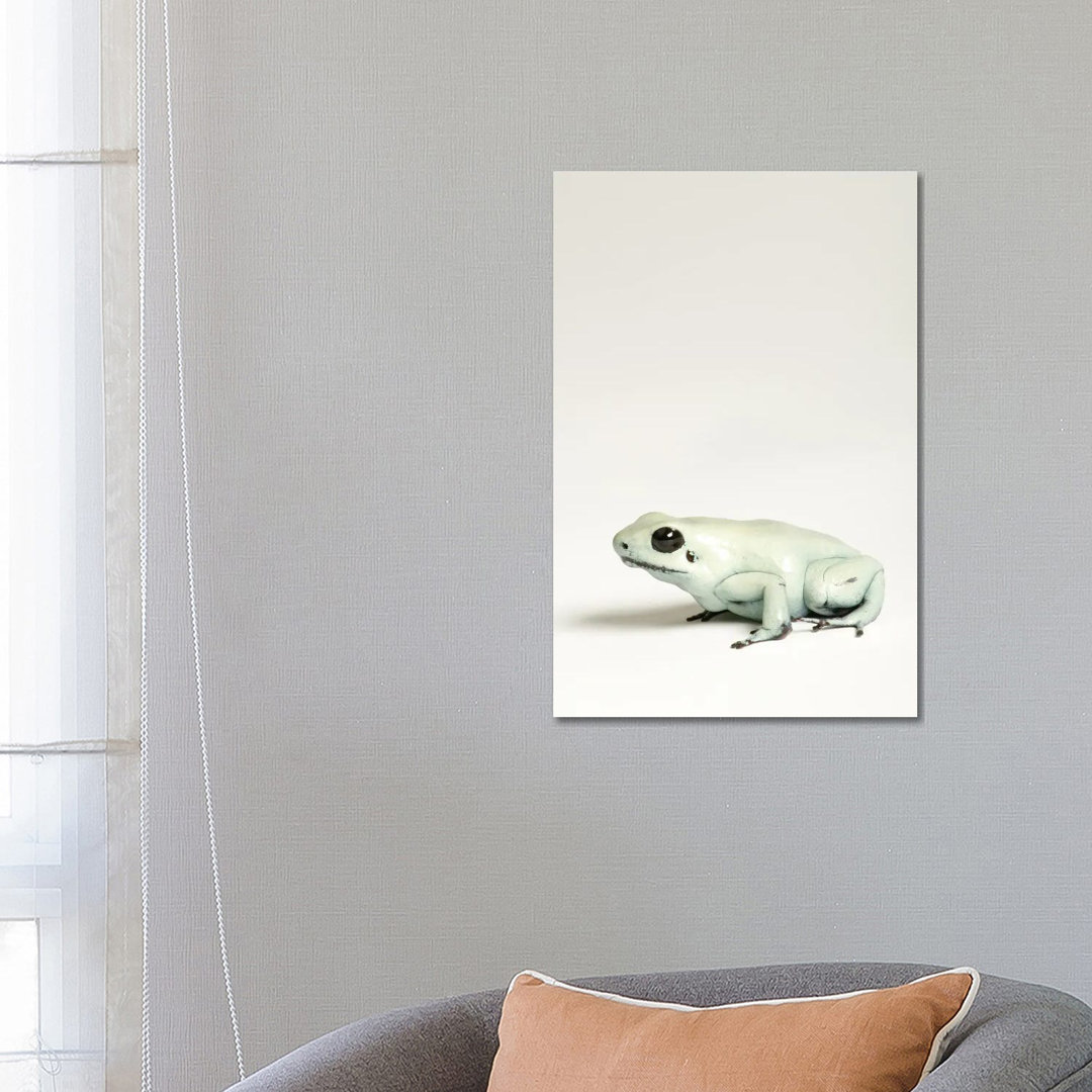 Ein goldener Pfeilgiftfrosch im Rolling Hills Zoo von Joel Sartore - Galerie-umwickelte Leinwand Giclée auf Leinwand