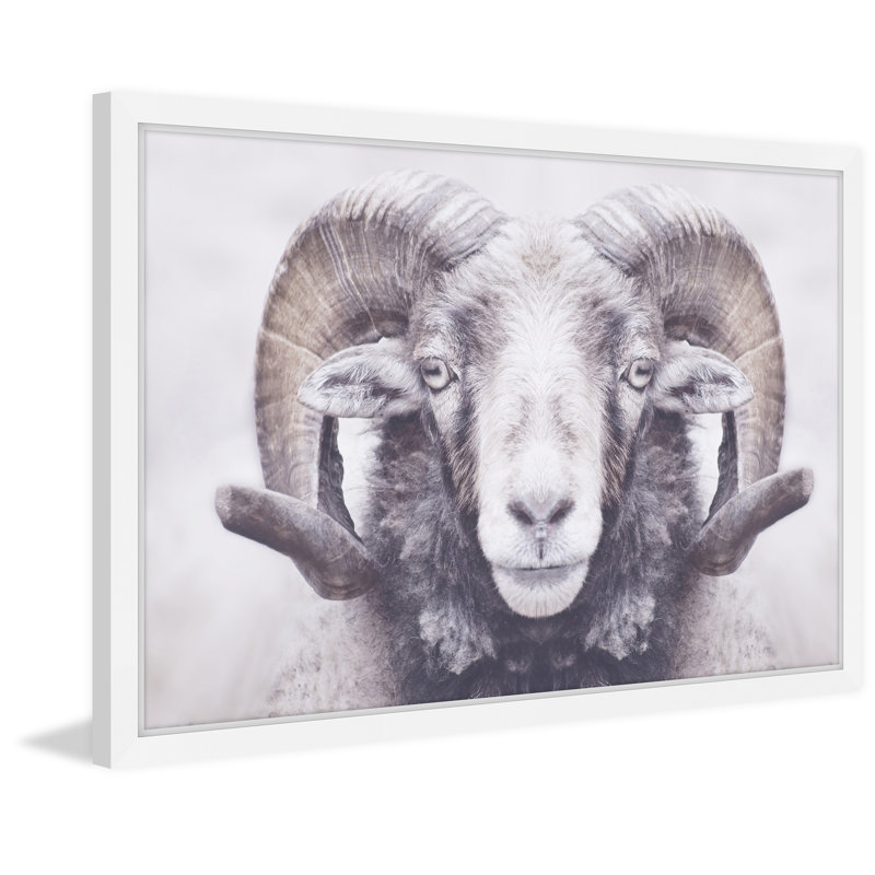 Parvez Taj - Single Picture Frame Print, 41cm H x 61cm W x 3.81cm D