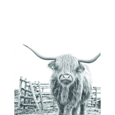 Noir et blanc Highland Cow - impression