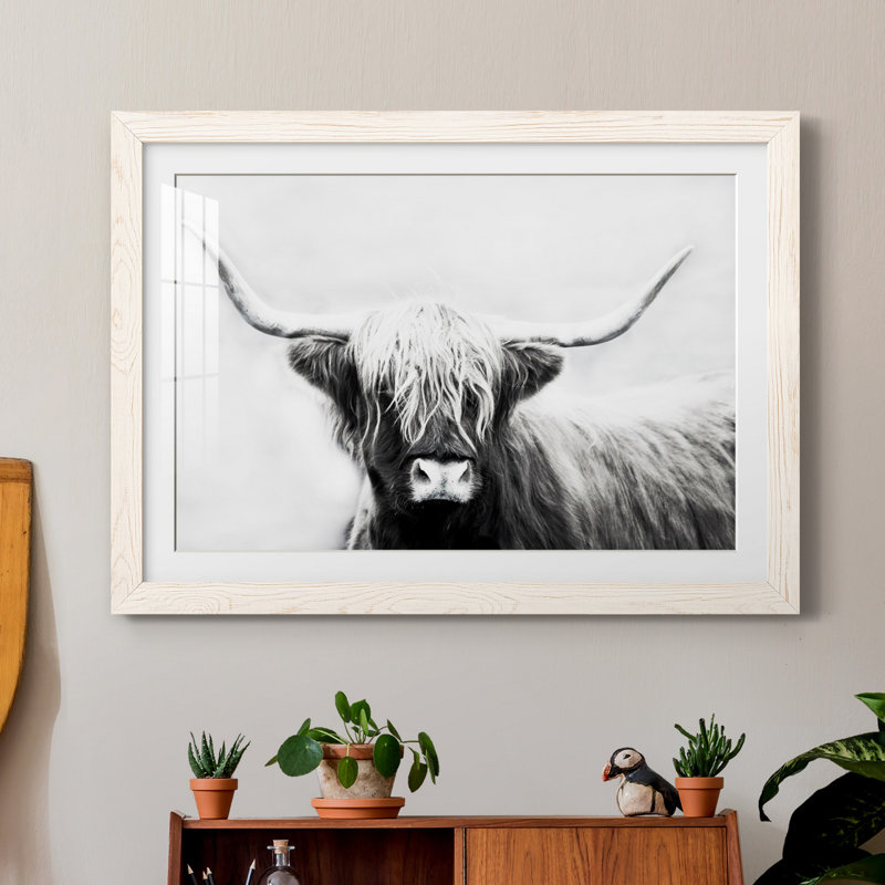 Seifert Longhorn - Reproduction de cadre photo sur papier, H 27,5 po x l 37,5 po x P 1,5 po, Papier avec cadre blanc