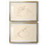 Citrus Contour I - ensemble de 2 reproductions de cadres photo-608452754-608452765