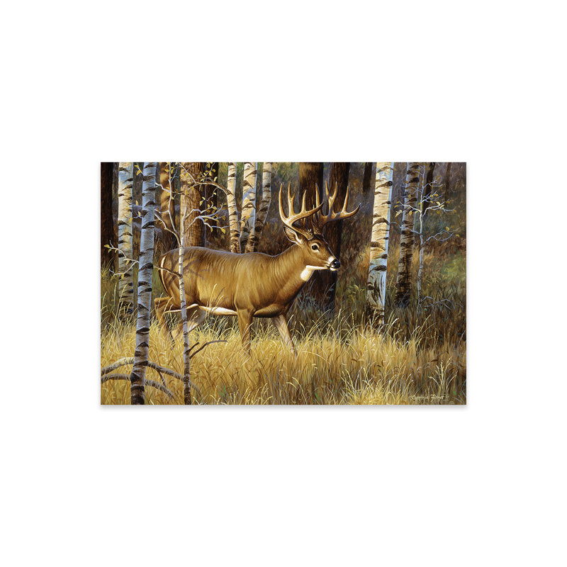 Whitetail Buck II sur peinture plastique / acrylique