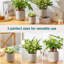HDHPOT Ceramic Pot Planter-1607730067