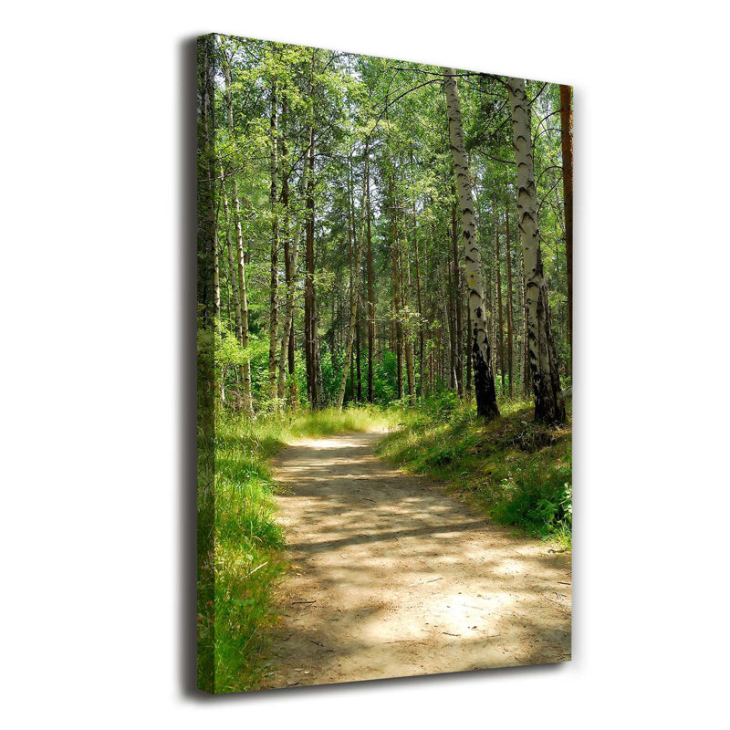 Birch Forest - Wrapped Canvas Print