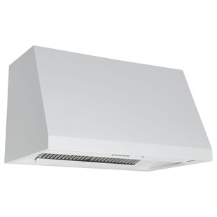 https://assets.wfcdn.com/im/97273456/resize-h310-w310%5Ecompr-r85/1455/145593004/30-commercial-style-hood.jpg