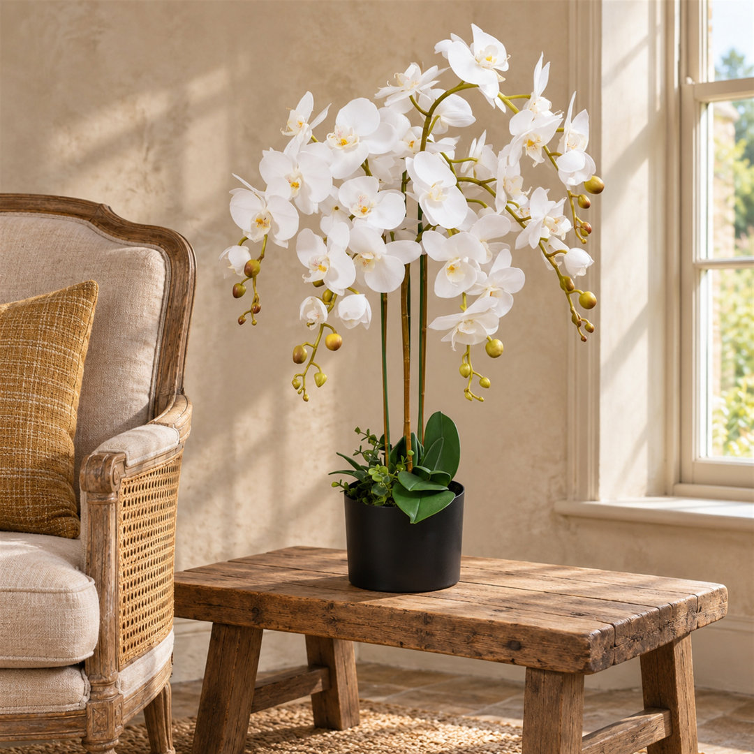 B&Q - 85Cm  Design Uk Realistic Artificial Orchid Flower Display In Pot - Image 5