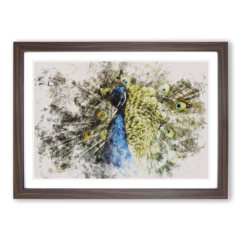Peacock Vol.2 - Picture Frame Graphic Art, 36cm H x 48cm W x 2cm D, Walnut Framed
