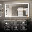 Miroir de salle de bain Martrez-748793252