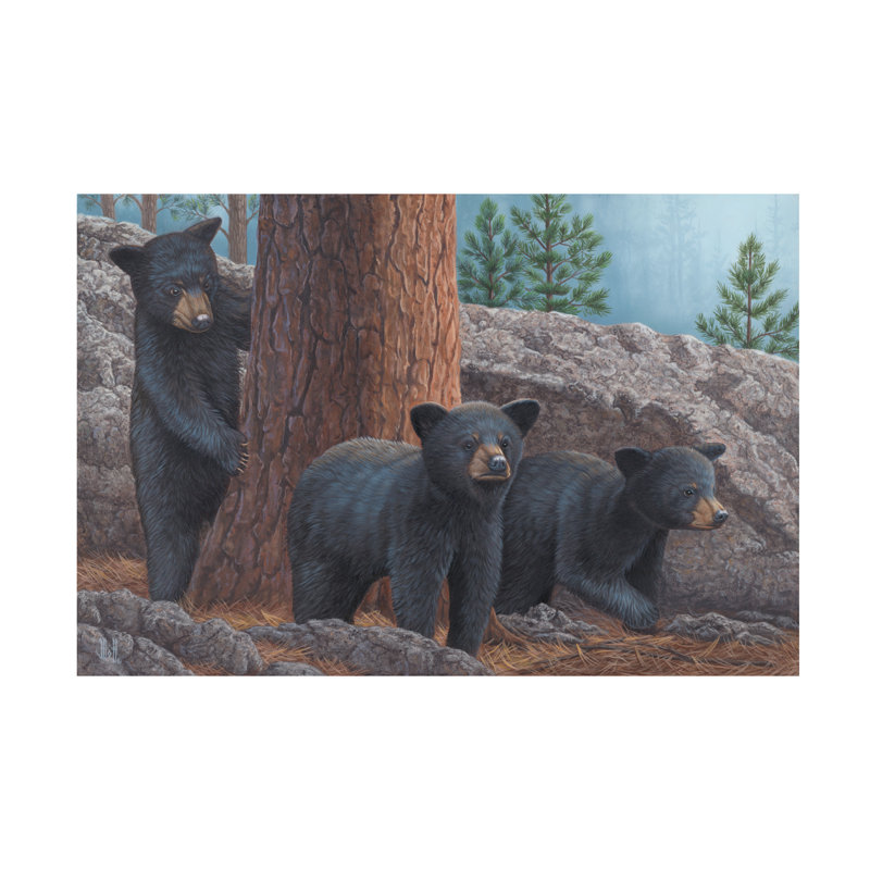 Art sur toile Jeff Hoff, H 30 po x l 47 po