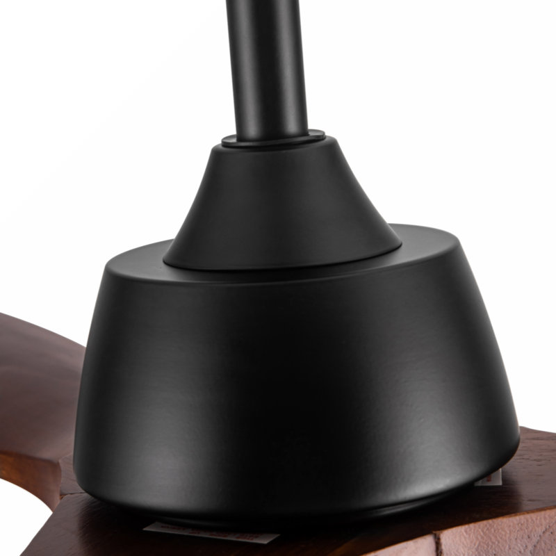 Jaustin 52'' Ceiling Fan with LED Lights, Walnut, Black