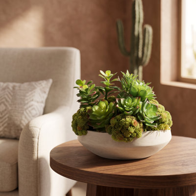 Plantes grasses et Sedum disposées dans un vase en Fiberstone