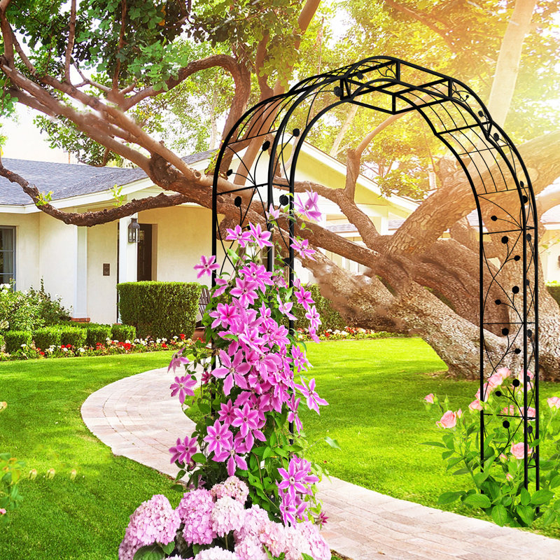 Arche de jardin d'extérieur pour plantes grimpantes, treillis, rose , Noir