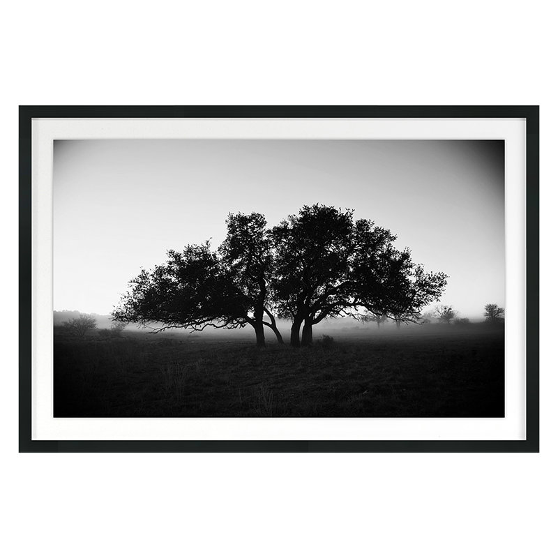 Foggy Morning Print by Jean Cornell, Black, 30" H x 45" W 