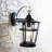 Ronni Wall Light