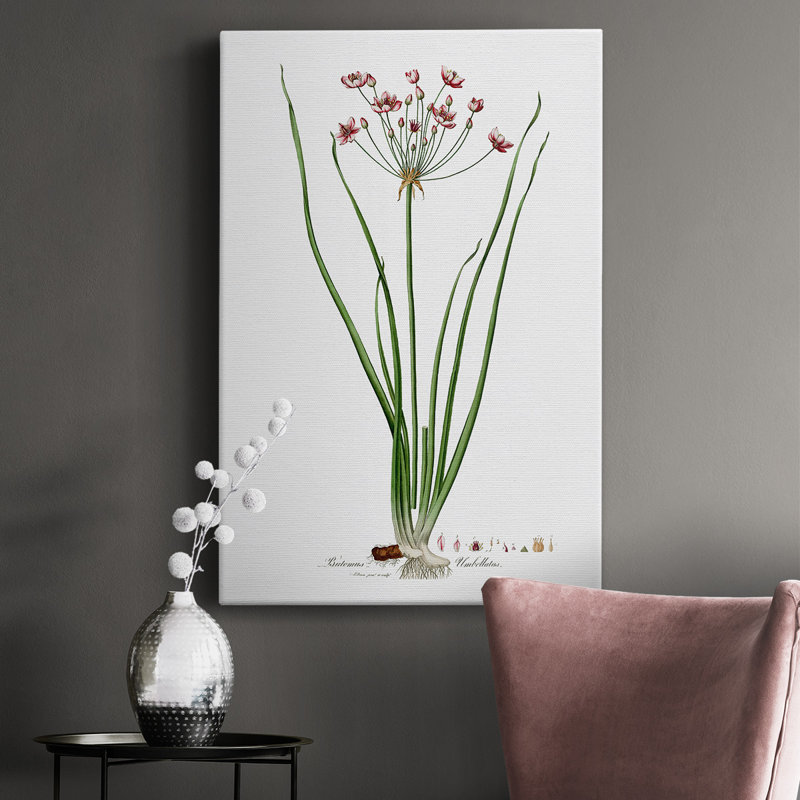 " Botanical II "