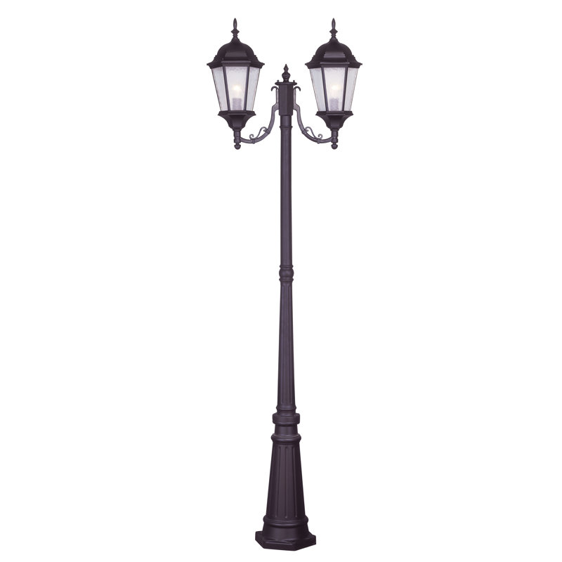 Arelene Lantern Head, Bronze