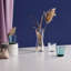Iittala Kartio 32 oz. Pitcher-9710182-65974269