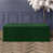 Forest Green Plush Velvet