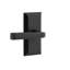 Ageless Iron Vale Plate with Lance Lever-1436586147-1436586144