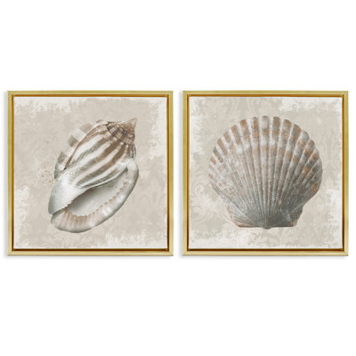 Seashells over Subtle Damask, ensemble de 2 toiles flottantes encadrées, design par Conrad Knutsen