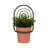 Metal Iron Wall Planter Contemporary Decorative Arched Frame Minimalist Style Vertical Garden Mount Accent Modern Geometric Design Durable Construction Indoor Outdoor Display Hanging Container-499693102