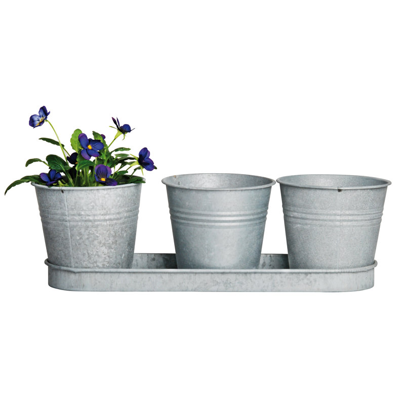 3 Pots on A Tray (Zinc)