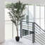 210cm Faux Olive Tree Tree in Freestanding-1777582853