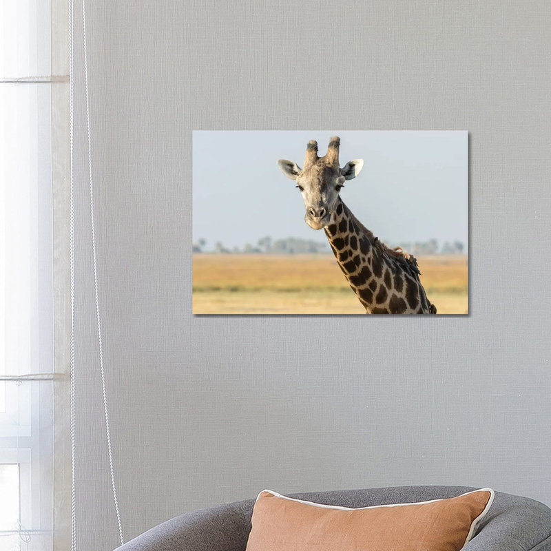 Africa, Botswana, Chobe National Park. Close-up Of Giraffe With Oxpecker Birds. - Wrapped Canvas Print
