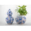Porcelain Vase Dragons