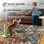 122cm X 170cm Area Rug