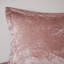 Ensemble de housse de couette en velours simple / simple TG avec coussin décoratif-125329907-125329909