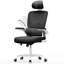 Motonobu Ergonomic Office Chair with Mesh Lumbar Support-631788500-631788498