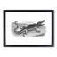 Crocodile in Black & White by George Shaw - Framed Print-55621407-55621408