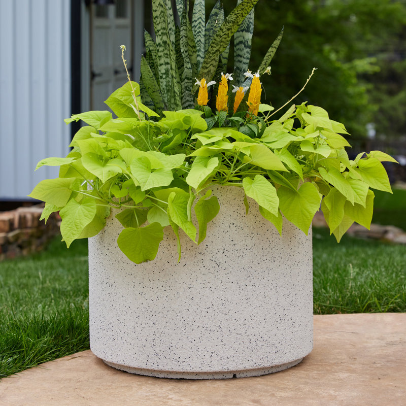 Gita Large Lightweight Outdoor 23" x 19" Round Planter Box, White Granite