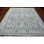 Transitional Hand Knotted Wool Oriental Area Rug