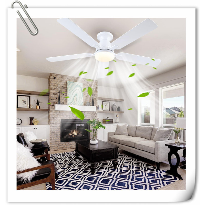 Museau Ceiling Fan with LED Lights