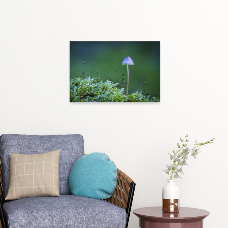 Champignons délicats des forêts, forêt de mousse paisible et sereine, impression d'art mural nature, H 16 po x l 24 po