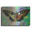 «Exposed Butterfly» par Dean Russo sur-1067619336